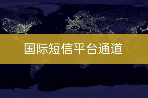 國際短信平臺(tái)通道