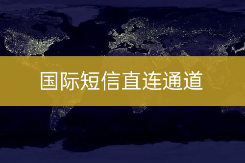 國際短信直連通道