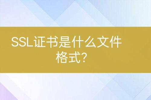 SSL證書是什么文件格式？