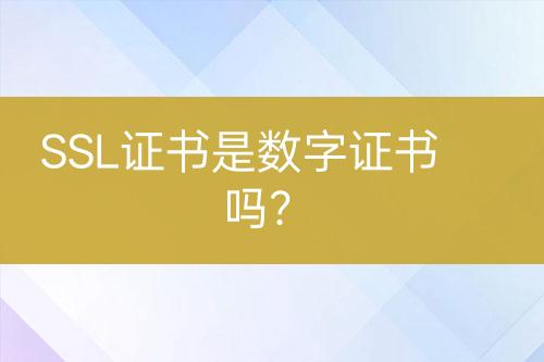 SSL證書是數(shù)字證書嗎？