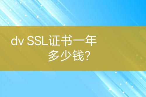 dv SSL證書一年多少錢？
