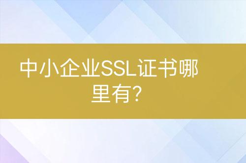中小企業(yè)SSL證書哪里有？