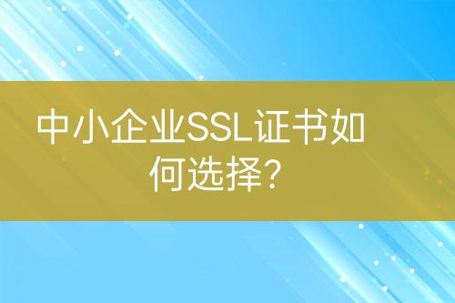 中小企業(yè)SSL證書如何選擇？