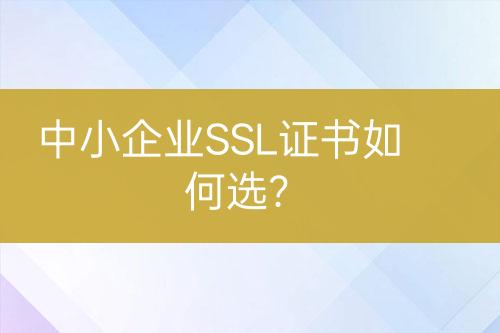 中小企業(yè)SSL證書如何選？