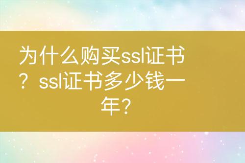 為什么購買ssl證書？ssl證書多少錢一年？