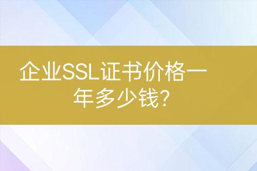 企業(yè)SSL證書價(jià)格一年多少錢？