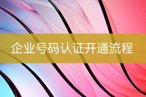 企業(yè)號碼認(rèn)證實(shí)施流程