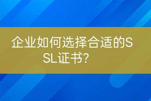 企業(yè)如何選擇合適的SSL證書？