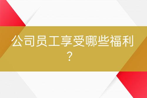 公司員工享受哪些福利？