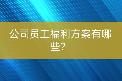 公司員工福利方案有哪些？