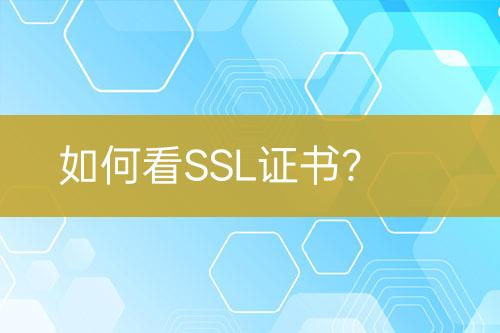 如何看SSL證書？
