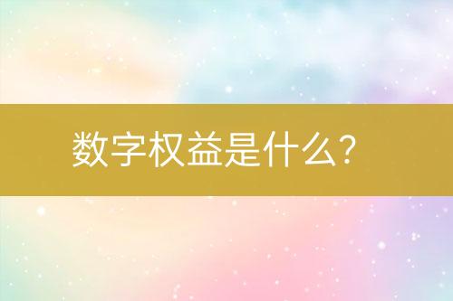 數(shù)字權(quán)益是什么？