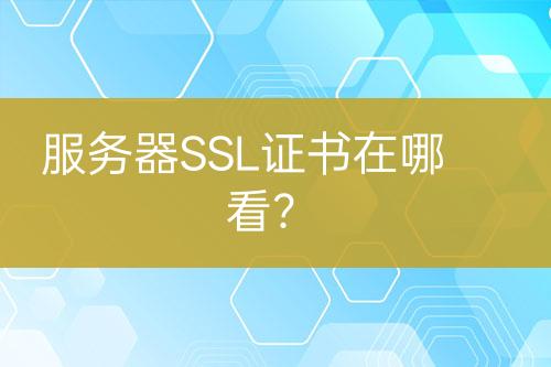 服務(wù)器SSL證書在哪看？