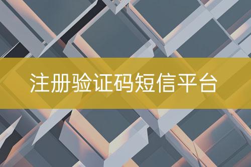 注冊驗(yàn)證碼短信平臺