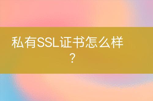 私有SSL證書怎么樣？
