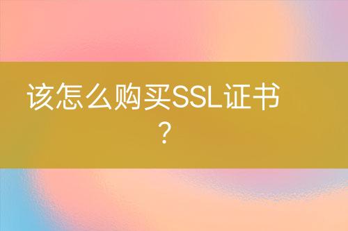 該怎么購買SSL證書？