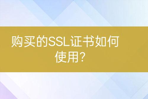 購買的SSL證書如何使用？